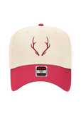Antler Hat