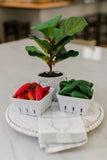 Potted Fiddle Leaf Tree