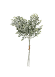 Eucalyptus Bush Spray