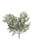 Eucalyptus Bush Spray